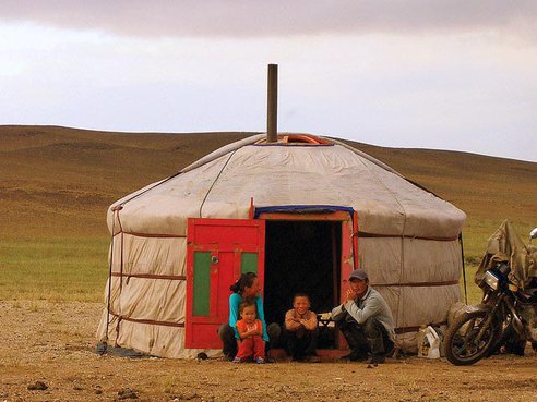 Mongolia - Piantare alberi contro la desertificazione